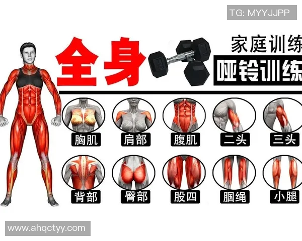 全面解析哑铃健身动作图解助你打造完美身材的训练指南
